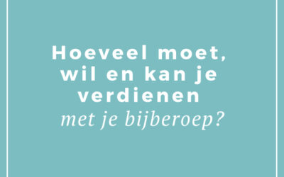 Hoeveel moet, wil en kan je verdienen met je bijberoep?